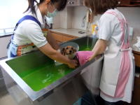 �g���~���O��