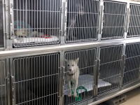 ���@���P