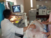 �����g����